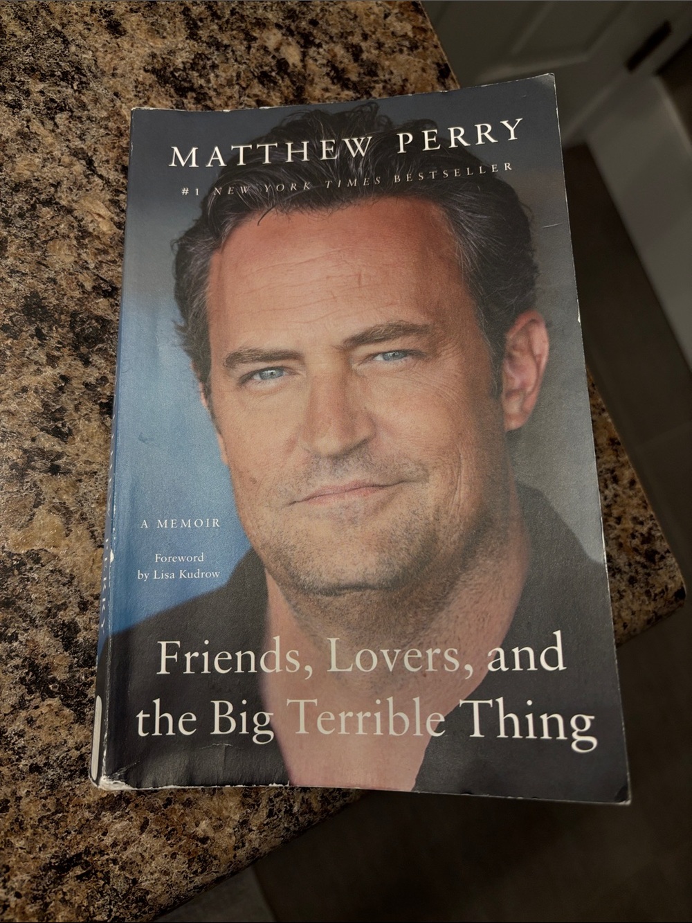 Friends, Lovers, and the Big Terrible Thing - Mathew Perry - softcover Book